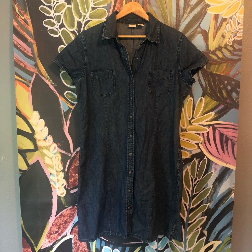 Vintage Demin Dress